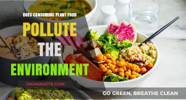 Plant-Based Diets: Environmental Friend or Foe?