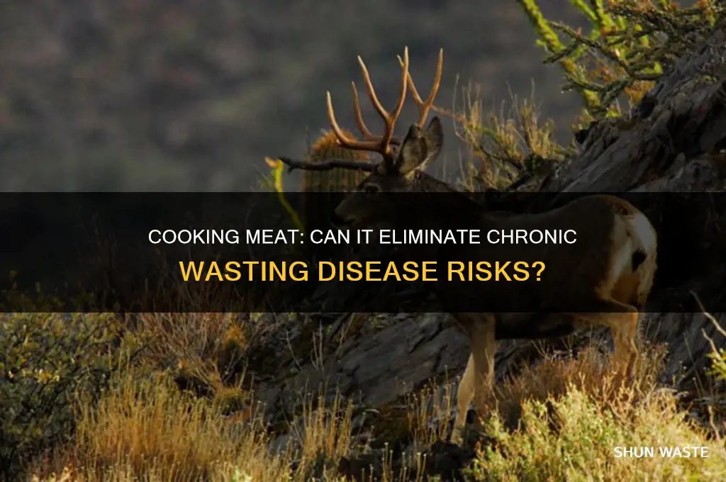 does cooking meat kill chronic wasting disease