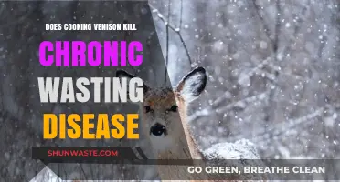 Cooking Venison: Does Heat Eliminate Chronic Wasting Disease Risk?