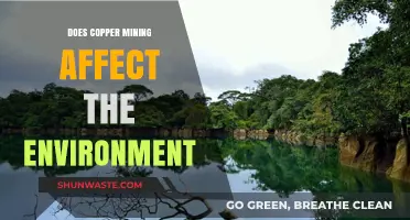Copper Mining's Environmental Impact: Exploring the Ecological Consequences