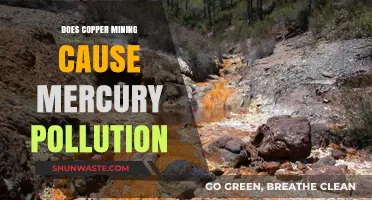 Copper Mining's Impact: Unveiling the Mercury Pollution Mystery