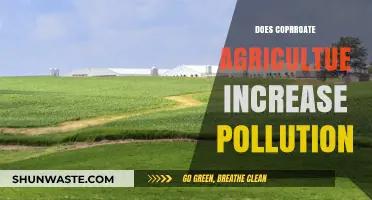 Corporate Agriculture: A Recipe for Pollution?
