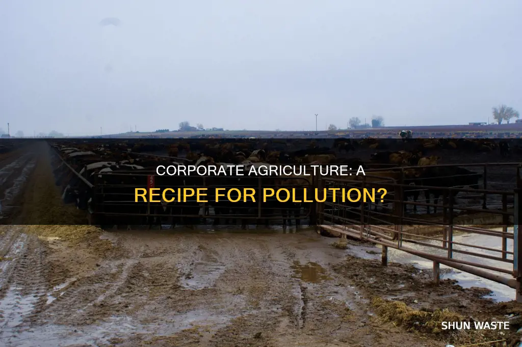does coprroate agricultue increase pollution