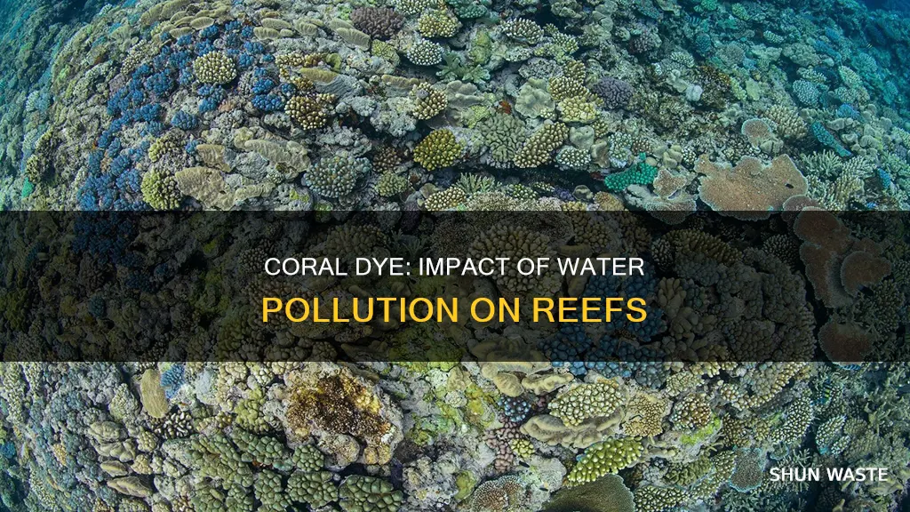 does coral dye from water pollution affect