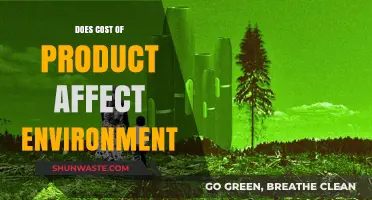Product Costs and Environmental Impact: Uncovering the Hidden Connection
