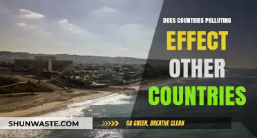 Pollution's Global Reach: How Countries Affect Each Other