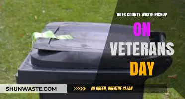 Veterans Day County Waste Pickup: What to Expect and Plan For