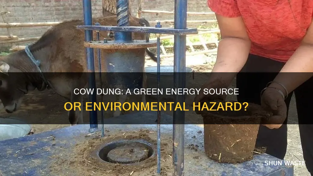 does cow dung cause pollution