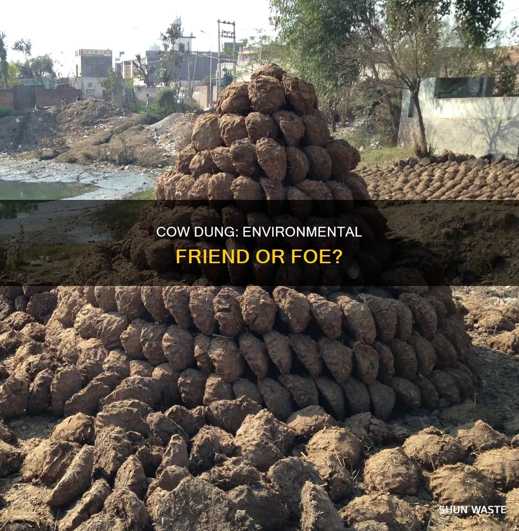 does cow dung pollute the environment