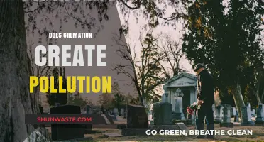 Cremation's Environmental Impact: Pollution and Solutions