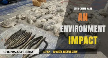 Crime's Environmental Footprint: Uncovering the Hidden Ecological Consequences