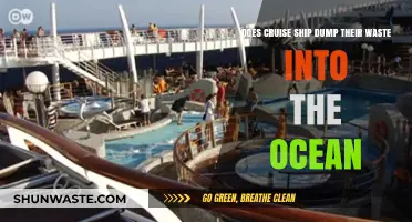 Cruise Ships and Ocean Waste: Uncovering the Truth Behind Dumping Practices