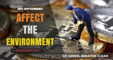 Cryptocurrency's Environmental Impact: Uncovering the Hidden Costs of Digital Currency