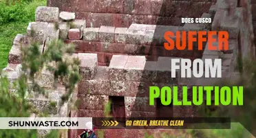 Cusco's Pollution Problem: A City's Battle