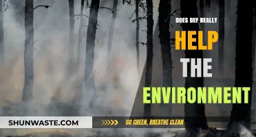 Does Deforestation Defense Truly Benefit Our Environment? A Critical Analysis