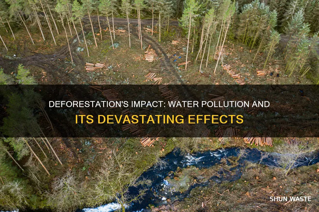 does deforestation affect water pollution