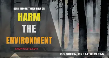 Deforestation's Impact: Environmental Savior or Ecological Disaster?