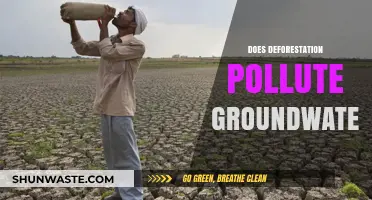 Deforestation's Impact: Polluting Our Groundwater Sources