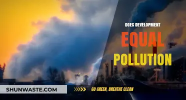 Development's Dark Side: Pollution's Persistent Problem