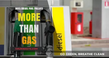 Diesel vs Gas: Which Pollutes More?