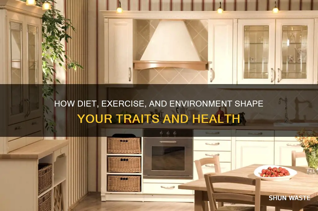 does diet exercise and environment affect your traits