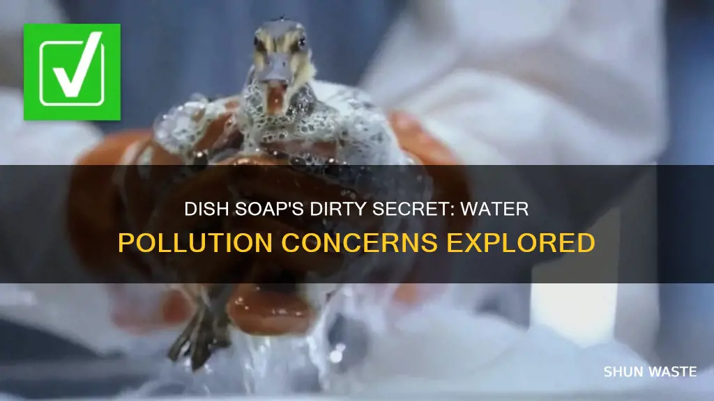 does dish soap pollute water