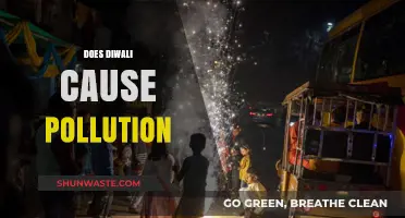 Diwali's Impact: Unveiling the Pollution Mystery