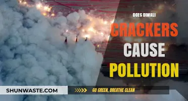 Diwali's Sparkling Cracker Conundrum: Unveiling the Pollution Mystery