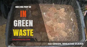 Can Dog Poop Be Composted in Green Waste? A Guide