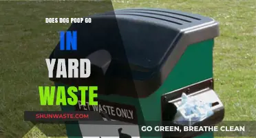 Can Dog Poop Go in Yard Waste? Eco-Friendly Disposal Tips