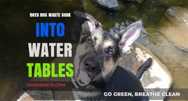 Dog Waste and Water Tables: Understanding the Environmental Impact