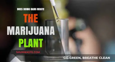 Does Dabbing Waste Marijuana? Exploring Efficiency and Plant Usage