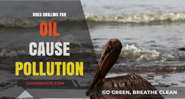 Drilling's Dark Side: Oil's Price in Pollution