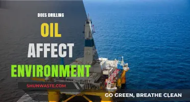 Drilling for Oil: Environmental Impacts and Long-Term Consequences
