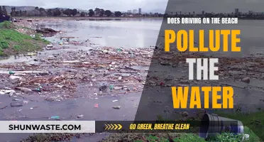 Beach Driving's Impact: Is It Polluting Our Coastal Waters?