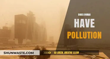 Dubai's Pollution Problem: What's the Reality?