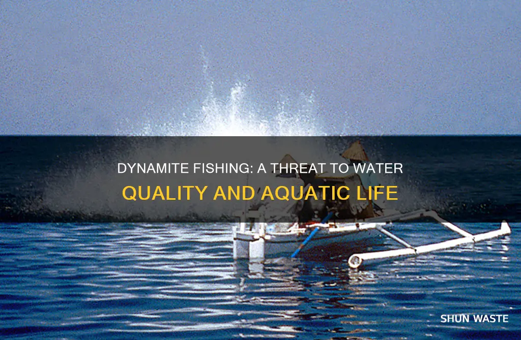 does dynamite fishing causes water pollution