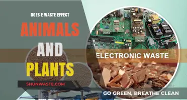 E-Waste's Impact: How Electronics Harm Animals and Plants