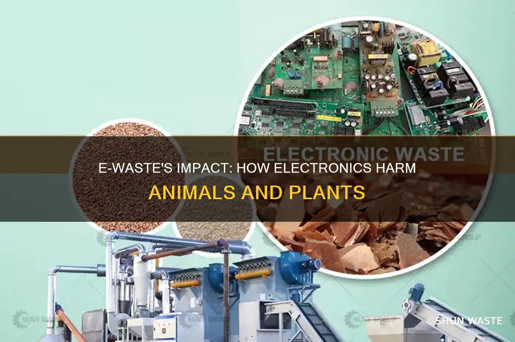 does e waste effect animals and plants
