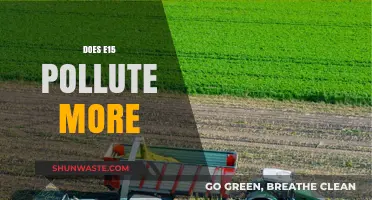E15 Gas: More Power, More Pollution?