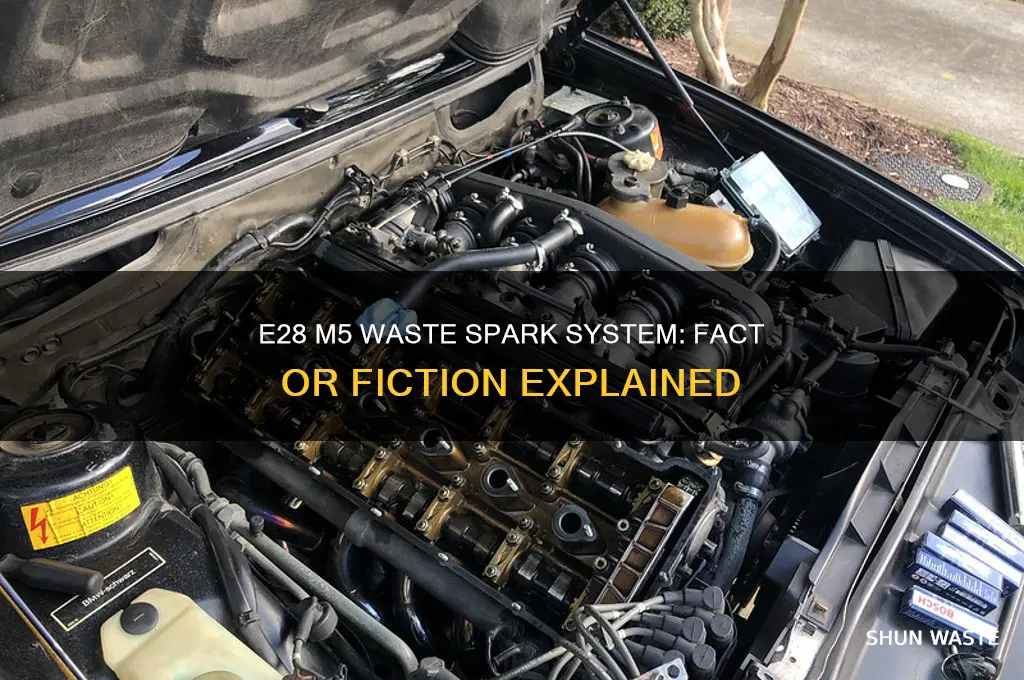 does e28 m5 have waste spark systems
