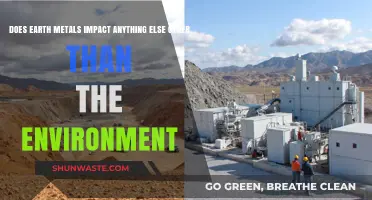Rare Earth Metals: Beyond Environmental Impact on Tech, Health, and Economy