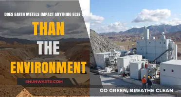 Earth Metals' Far-Reaching Impact Beyond the Environment: Exploring the Effects