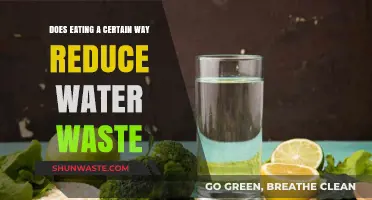 Sustainable Diets: Can Your Eating Habits Reduce Water Waste?