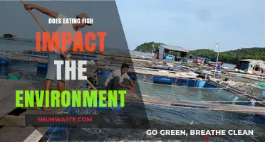 Fishing for Sustainability: How Eating Fish Affects Our Planet