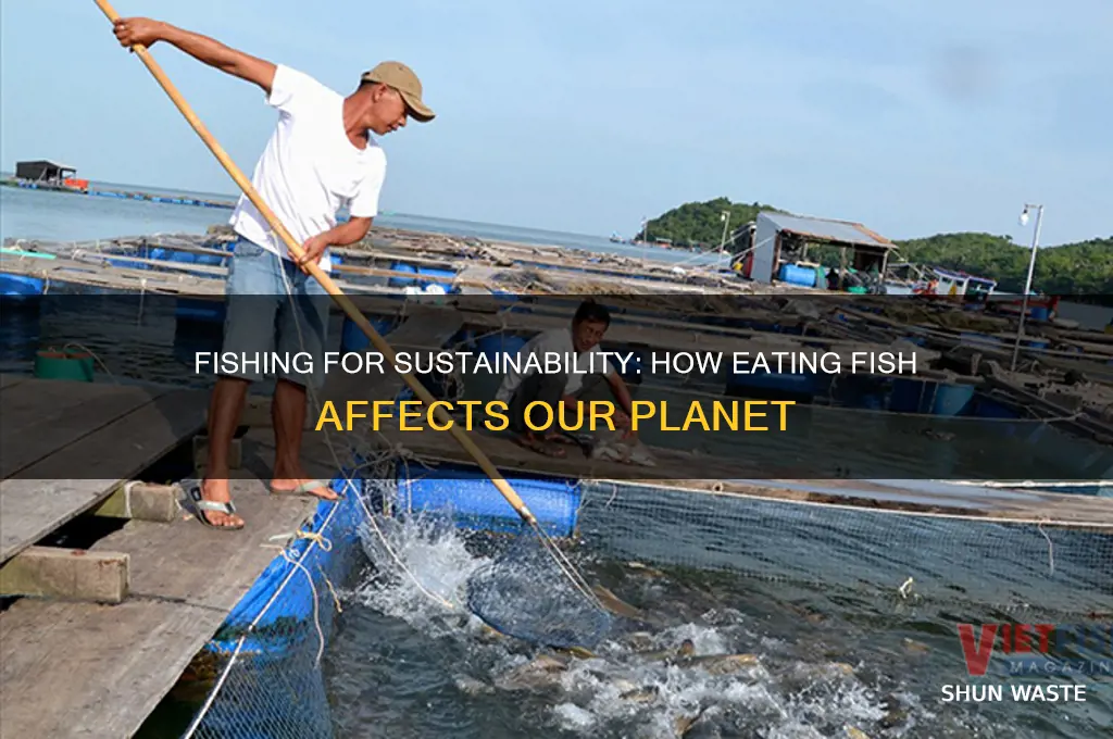 does eating fish impact the environment