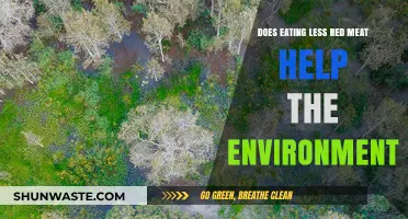 Reducing Red Meat Intake: A Sustainable Choice for Our Planet?