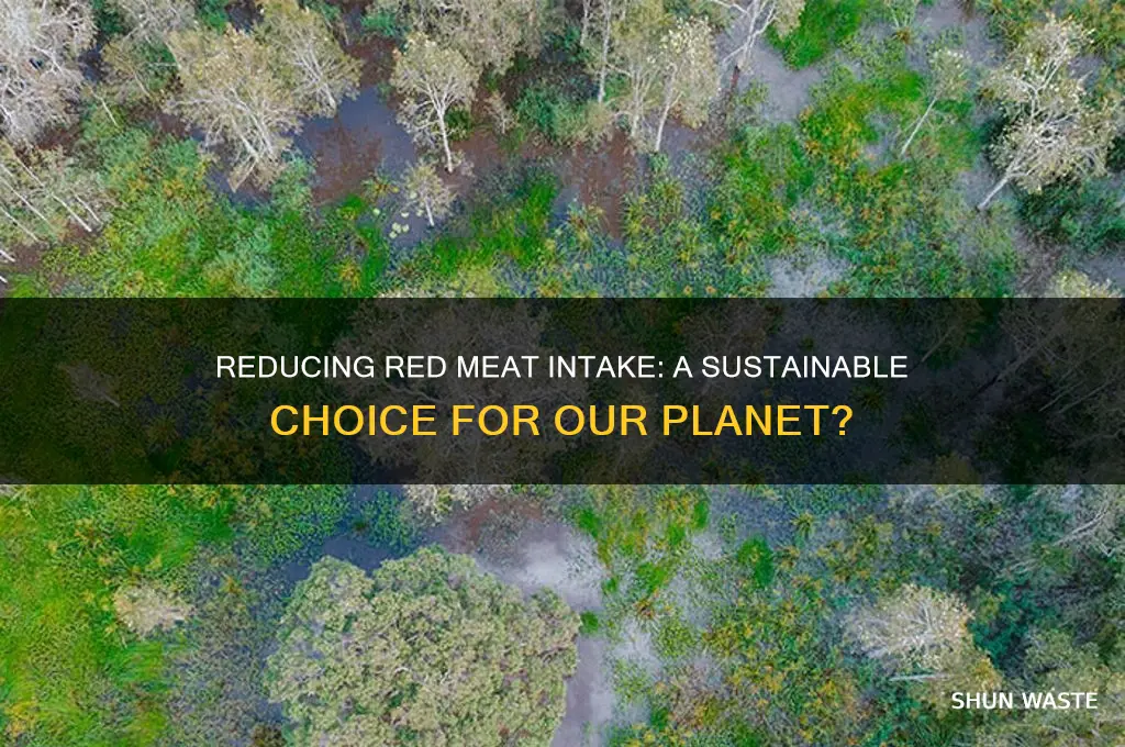 does eating less red meat help the environment