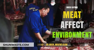 Meat Consumption and Its Environmental Impact: A Critical Analysis