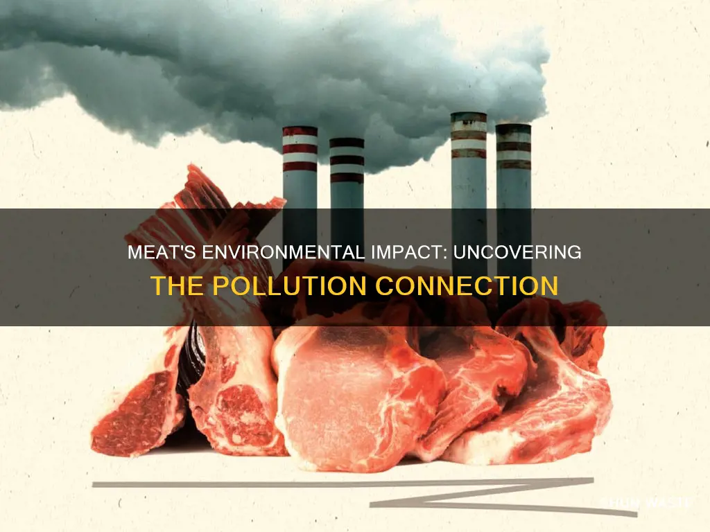 does eating meat cause pollution